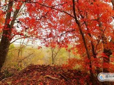 十月份适合去哪里旅游 10月中旬旅游适合去哪里玩